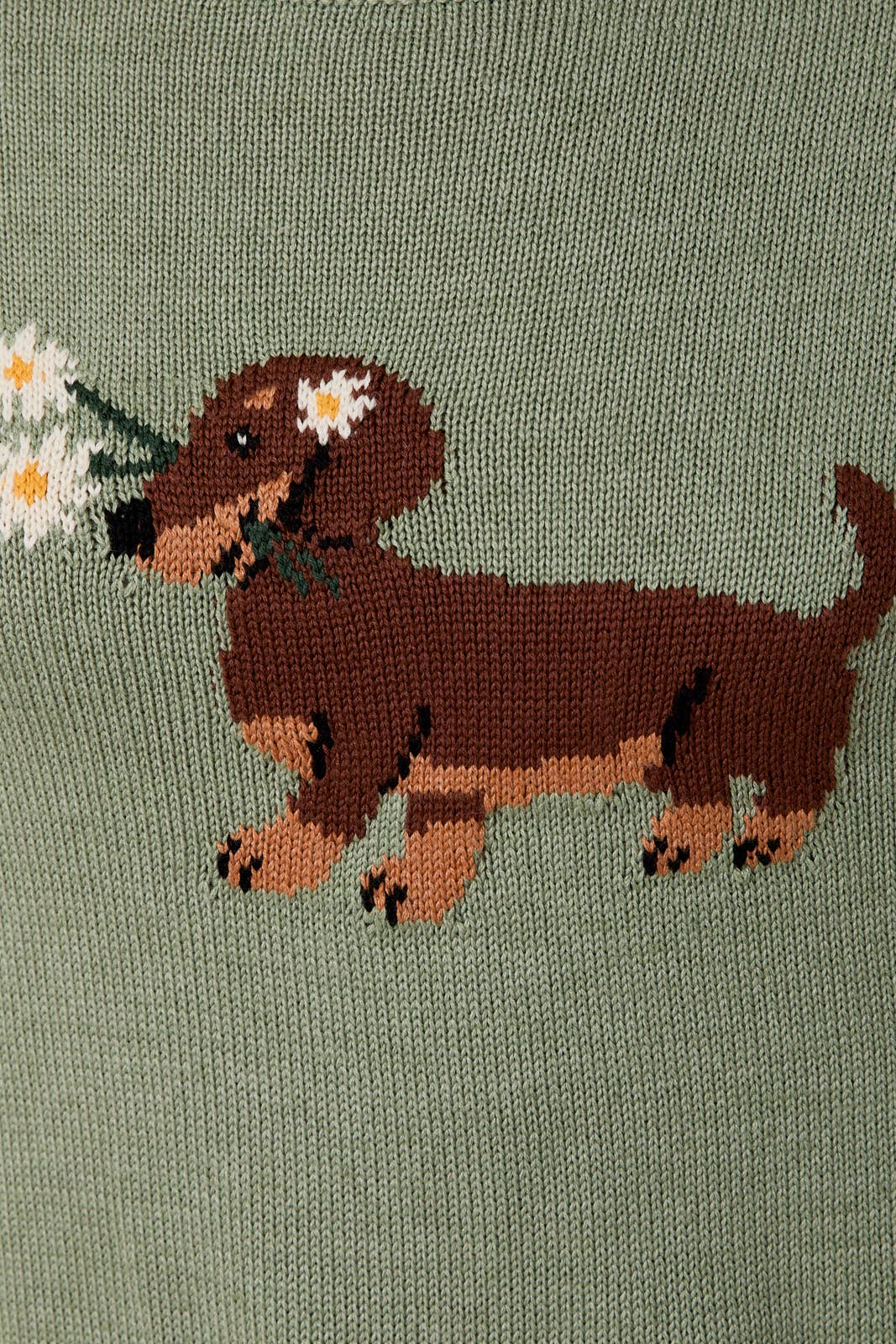Dachshund Sweater