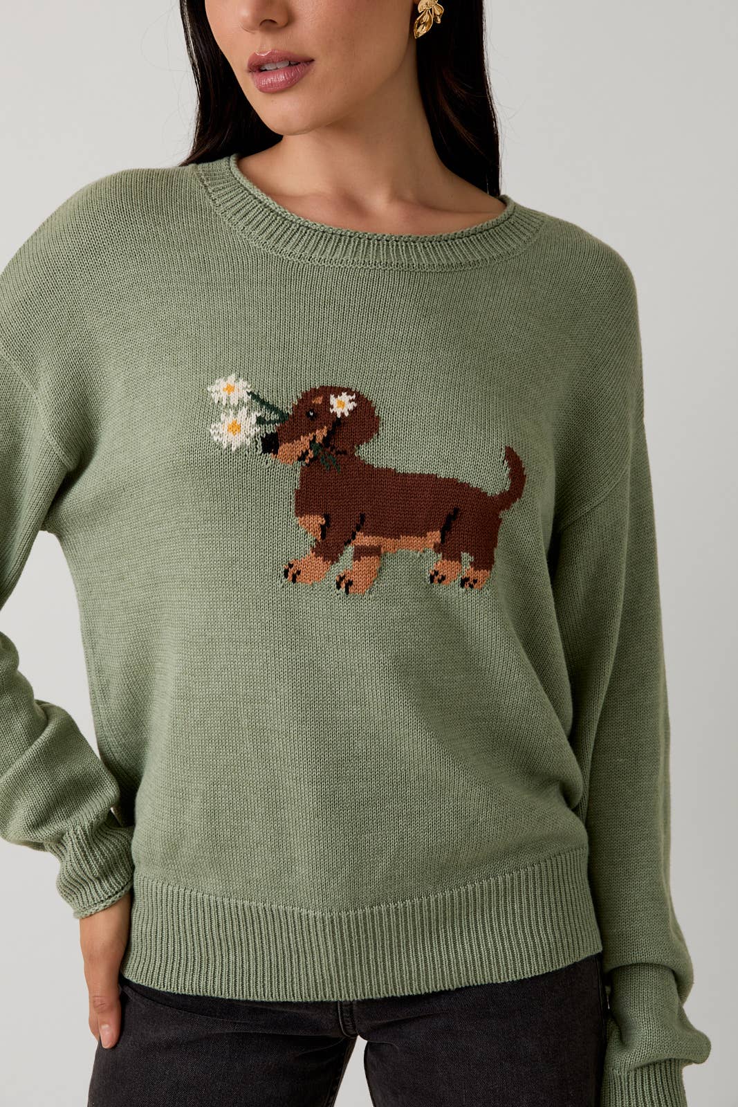 Dachshund Sweater