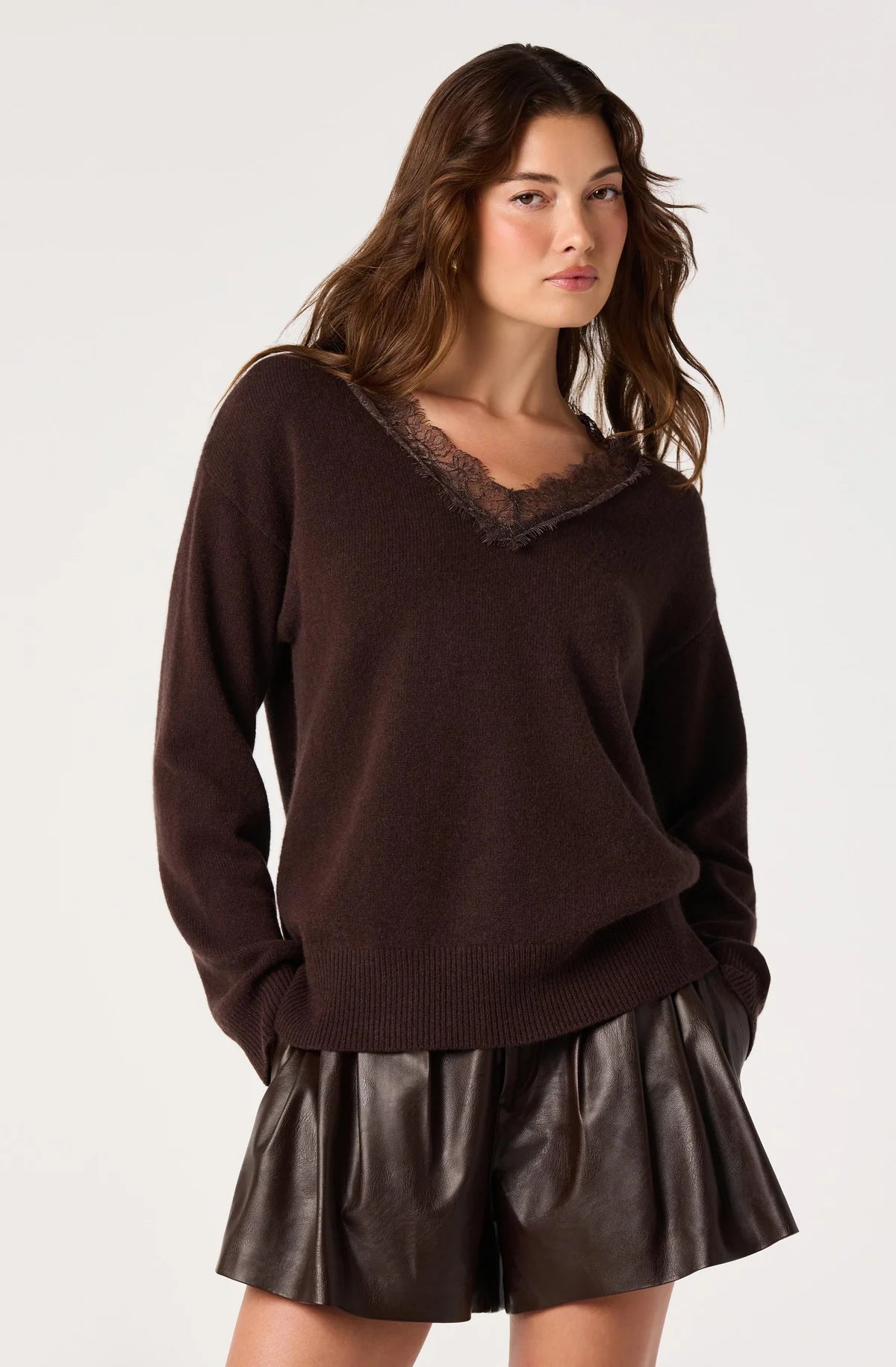 Jadyn Lace Trim V Neck Sweater in Brown