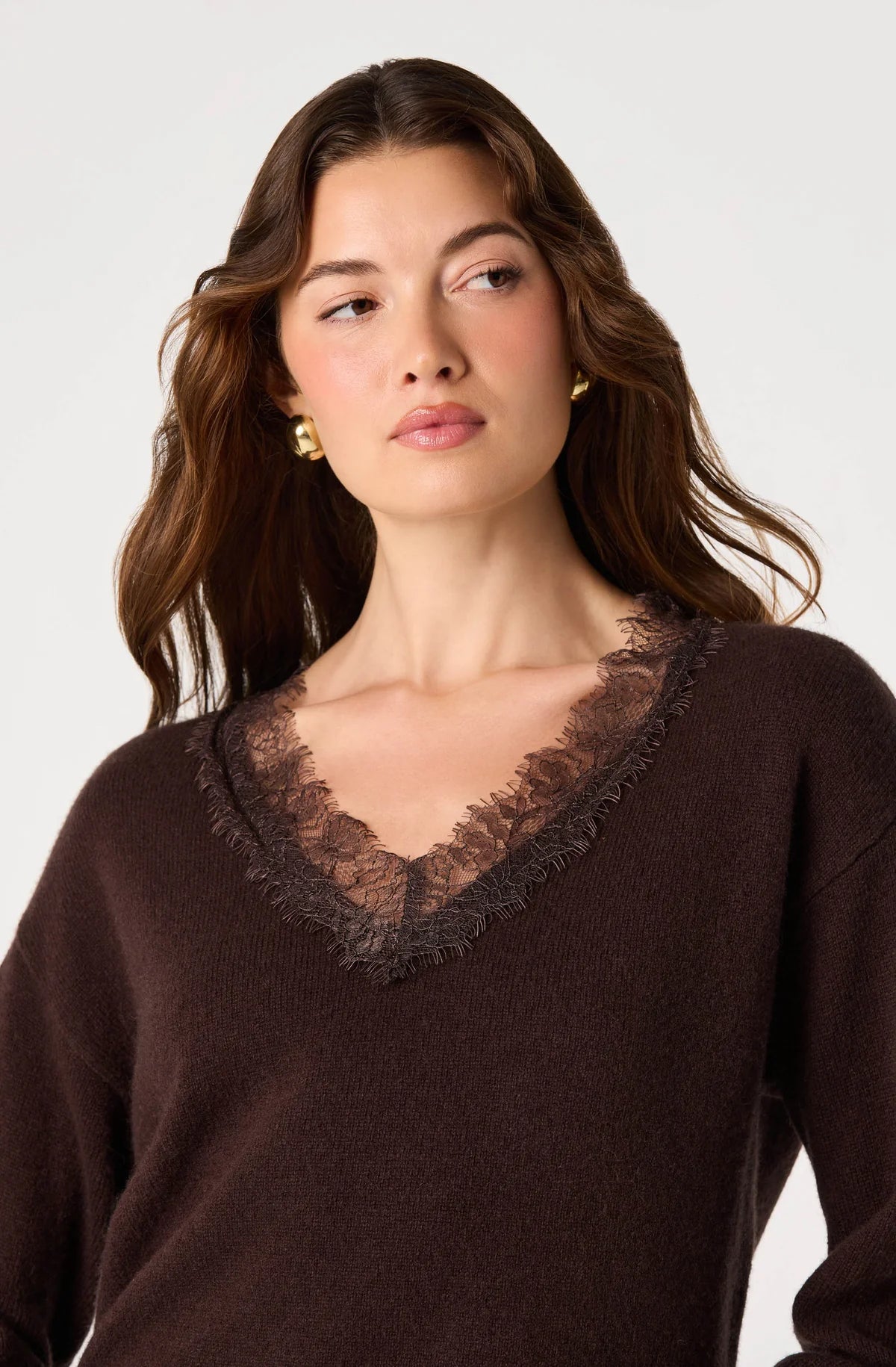 Jadyn Lace Trim V Neck Sweater in Brown