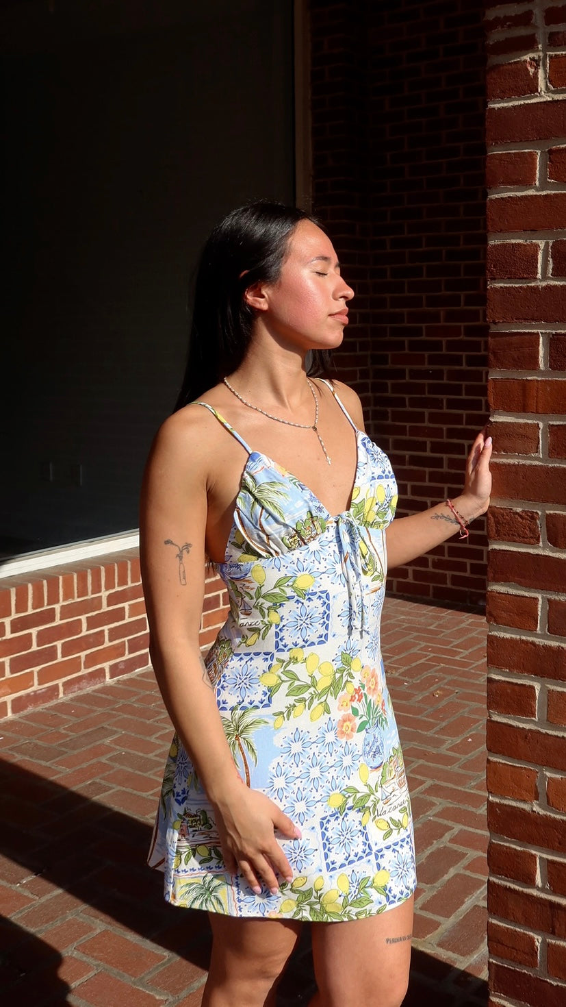 Amalfi Dress