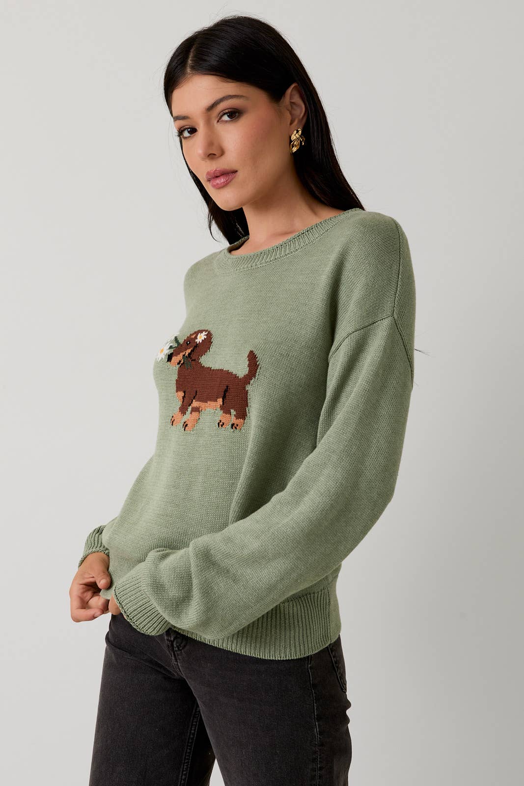 Dachshund Sweater